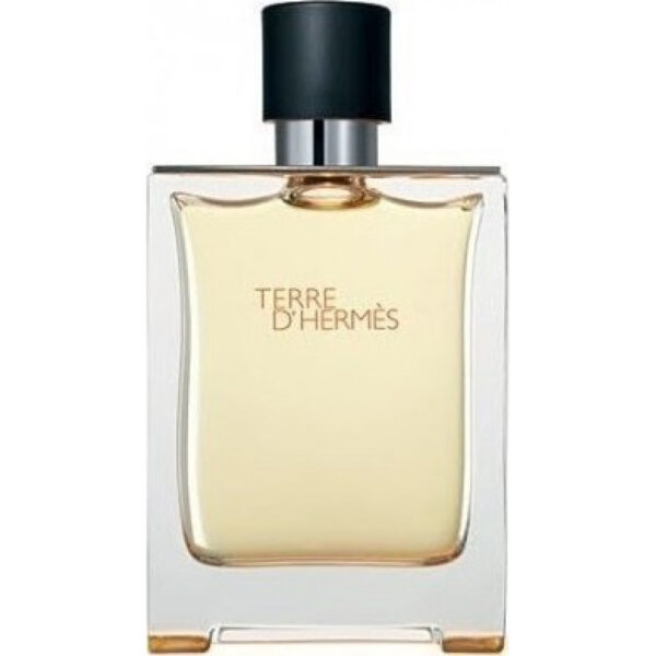 Hermes Terre D' Hermes Eau de Toilette 100ml(Tester)
