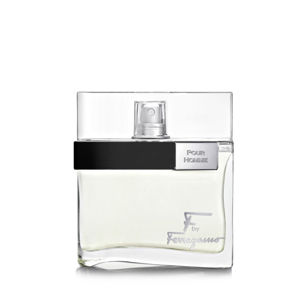 Salvatore Ferragamo Eau de Toilette 100ml - Image 2