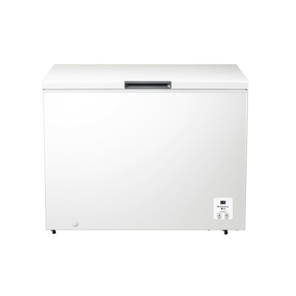 Ψύκτης Hisense FT386D4AWLYE - Image 3