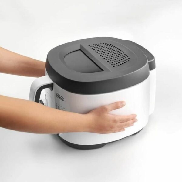 Φριτέζα DeLonghi FS3021 1800 W 2 L - Image 3